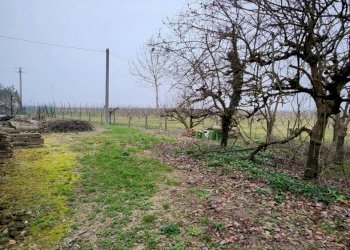 Rustico Via Cogollo, Bagnacavallo - foto 7