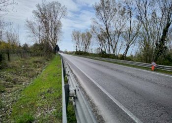 Terreno edificabile Via Romea, Comacchio - foto 2
