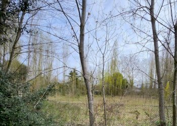 Terreno edificabile Via Romea, Comacchio - foto 1