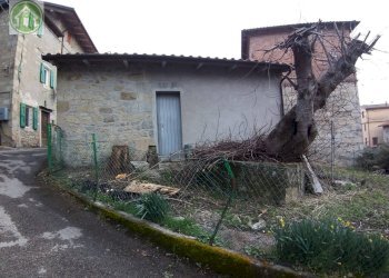 Independent house Pavullo nel Frignano - photo 5