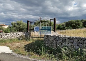 Terreno agricolo Priolo Gargallo - foto 1