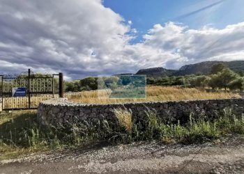 Terreno agricolo Priolo Gargallo - foto 4