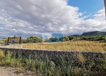 Terreno agricolo Priolo Gargallo - foto 6