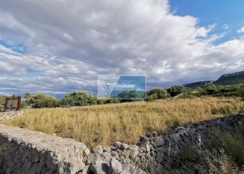 Terreno agricolo Priolo Gargallo - foto 7