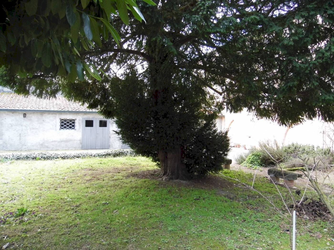 Terratetto - Terracielo Ravenna (zona Sant'Alberto) - foto 2