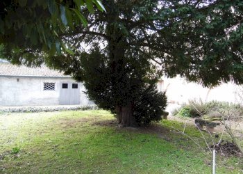 Terratetto - Terracielo Ravenna (zona Sant'Alberto) - foto 2