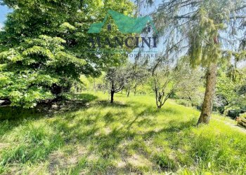 Ufficio COLLE PARADISO, Jesi - foto 14