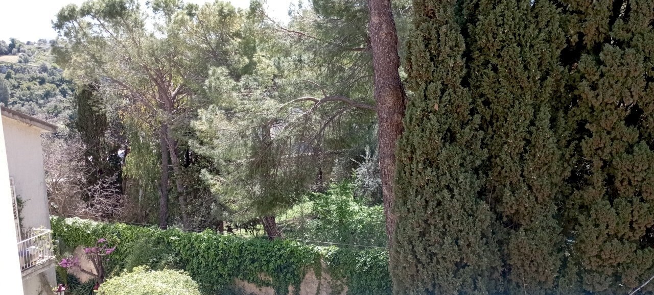 IMG_20230424_110800.jpg - Appartamento Ragusa - foto 2