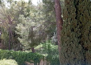 IMG_20230424_110800.jpg - Appartamento Ragusa - foto 2