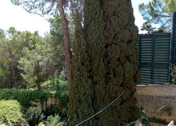 IMG_20230424_110809.jpg - Appartamento Ragusa - foto 16