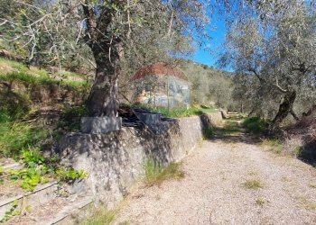 Independent house Dolceacqua, IM, Dolceacqua - photo 16