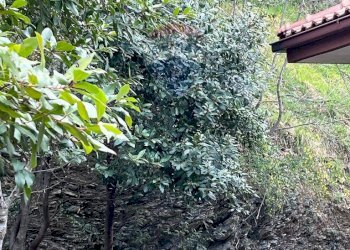 Casa indipendente Balestrino, SV, Balestrino - foto 7