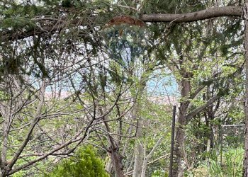 Casa indipendente Balestrino, SV, Balestrino - foto 20