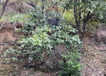 Casa indipendente Balestrino, SV, Balestrino - foto 25