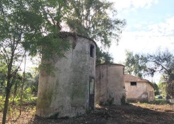 Magazzino - Rustico via Laurentina, 2090, Roma - foto 8