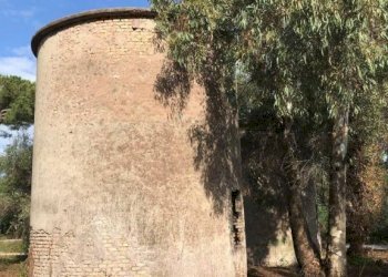 Magazzino - Rustico via Laurentina, 2090, Roma - foto 9