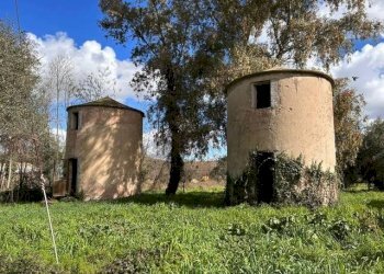 Terreno - Rustico via Laurentina, 2090, Roma - foto 11