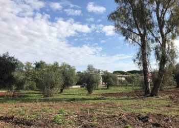 Terreno - Rustico via Laurentina, 2090, Roma - foto 13