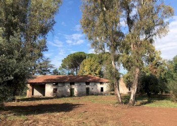 Terreno - Rustico via Laurentina, 2090, Roma - foto 14