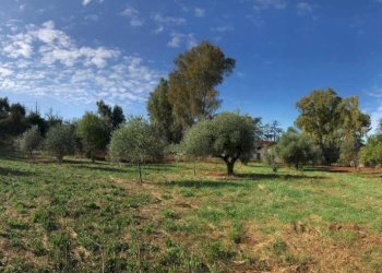 Terreno - Rustico via Laurentina, 2090, Roma - foto 17