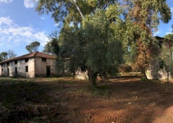 Terreno - Rustico via Laurentina, 2090, Roma - foto 18