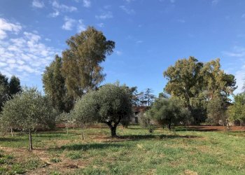 Terreno - Rustico via Laurentina, 2090, Roma - foto 19