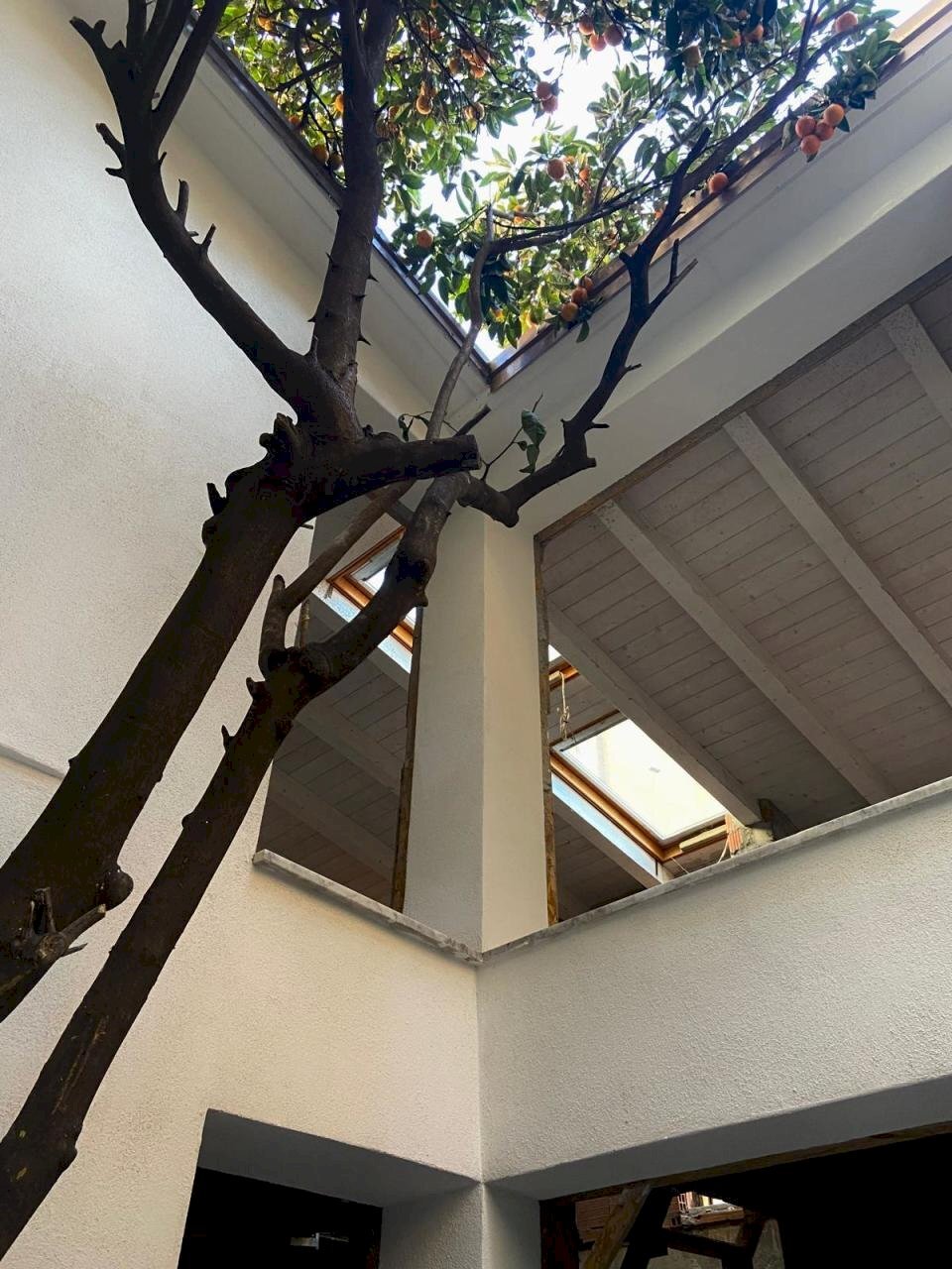 WhatsApp Image 2025-01-14 at 16.08.48.jpeg - Independent house sarzana, Sarzana - photo 2