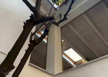 WhatsApp Image 2025-01-14 at 16.08.48.jpeg - Independent house sarzana, Sarzana - photo 2