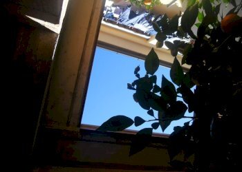 DSCN6872.jpg - Independent house sarzana, Sarzana - photo 10