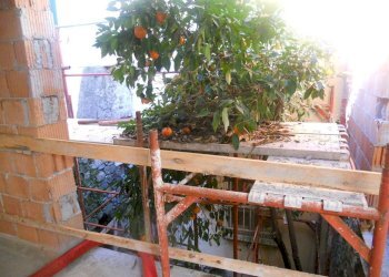 DSCN6877.jpg - Independent house sarzana, Sarzana - photo 14