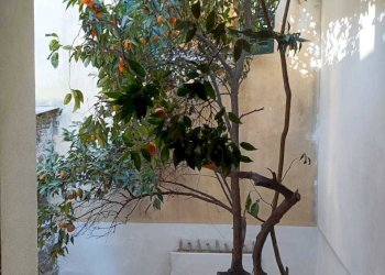 WhatsApp Image 2025-01-14 at 16.07.58.jpeg - Independent house sarzana, Sarzana - photo 19