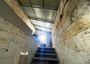 IMG_9878.jpg - Appartamento Viale della Libertà 44, Casamassima - foto 12