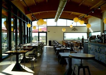 DSC01274.jpg - Locale Commerciale Viale Michelangelo Buonarroti, Viareggio - foto 2