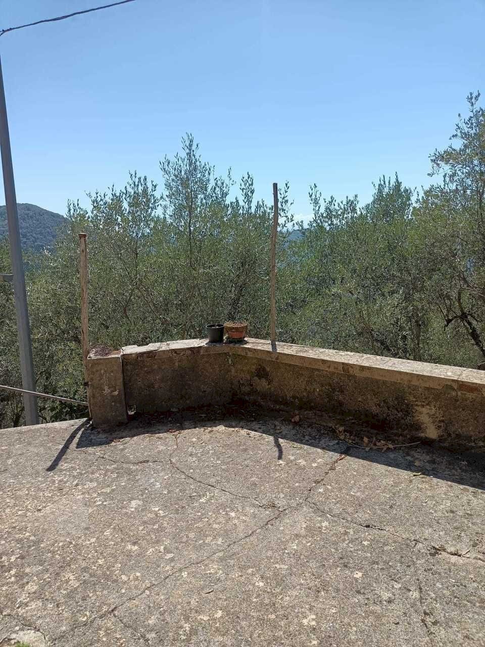 PHOTO-2023-05-02-19-53-30.jpg - Terratetto - Terracielo Camaiore - foto 3