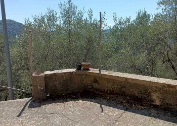 PHOTO-2023-05-02-19-53-30.jpg - Terratetto - Terracielo Camaiore - foto 3