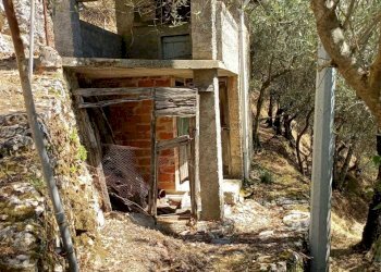 PHOTO-2023-05-02-19-53-31 2.jpg - Terratetto - Terracielo Camaiore - foto 4