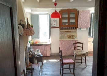 PHOTO-2023-05-02-19-53-37 5.jpg - Terratetto - Terracielo Camaiore - foto 16