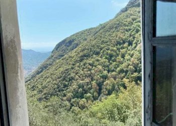 PHOTO-2023-05-02-19-54-50 5.jpg - Terratetto - Terracielo Camaiore - foto 22