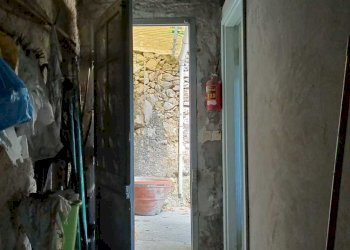 PHOTO-2023-05-02-19-54-51 2.jpg - Terratetto - Terracielo Camaiore - foto 24