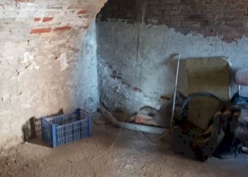 Rustico Gabiano - foto 33