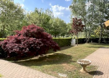 Quadrilocale Pinerolo - foto 19