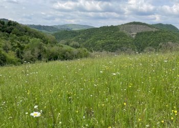 Terreno agricolo Fontanelice - foto 1