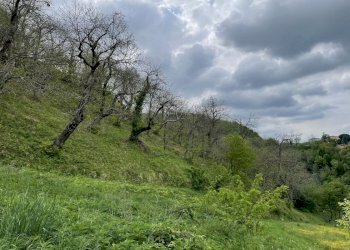 Terreno agricolo Fontanelice - foto 3