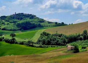 Rustico Montedinove - foto 2
