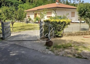 IMG_2695.jpg - Villa Camaiore - foto 2