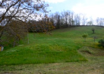 Rustico Vetto - foto 6