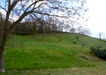 Rustico Vetto - foto 7