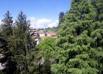 Trilocale via Arnaldo da Brescia, 4, Gallarate - foto 10