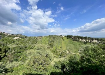 IMG-3822.jpg - Attico Corso Umberto I 93, Morlupo - foto 3