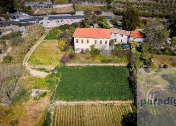 Villa Ventimiglia - photo 2